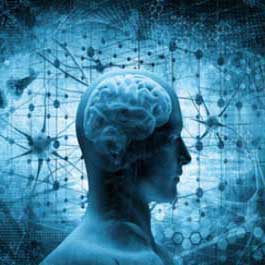 bouzidi chiffa neurochirurgien blida profil2
