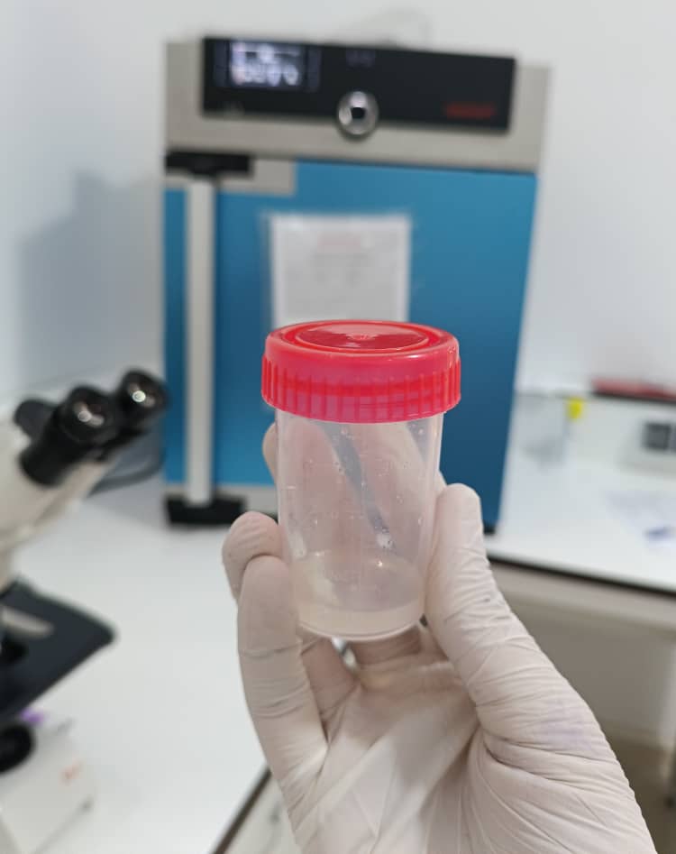 al shamel lab tenes 32