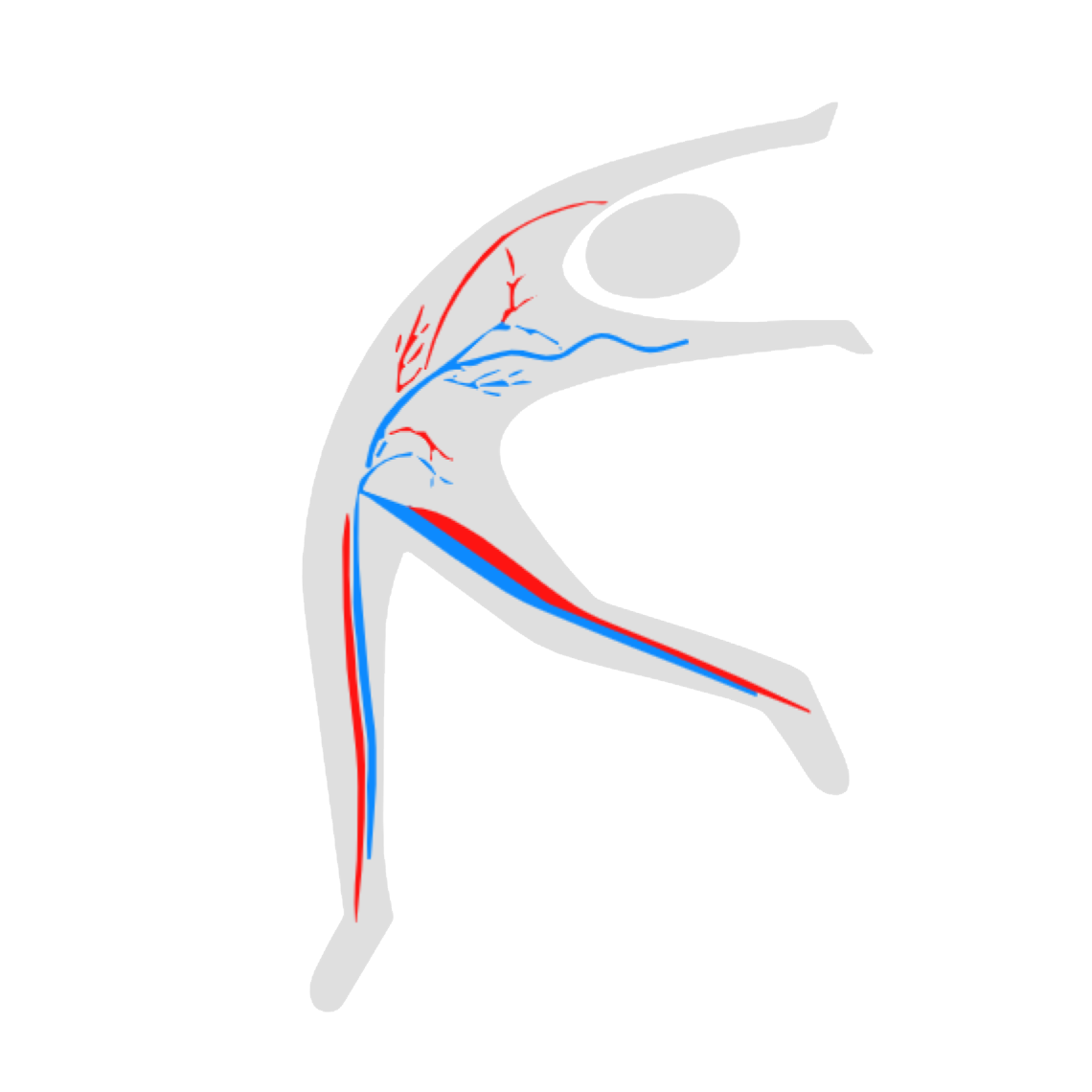 phlebo logo 01
