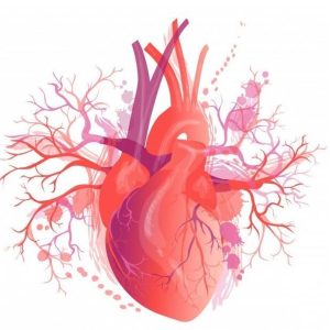 logo coeur