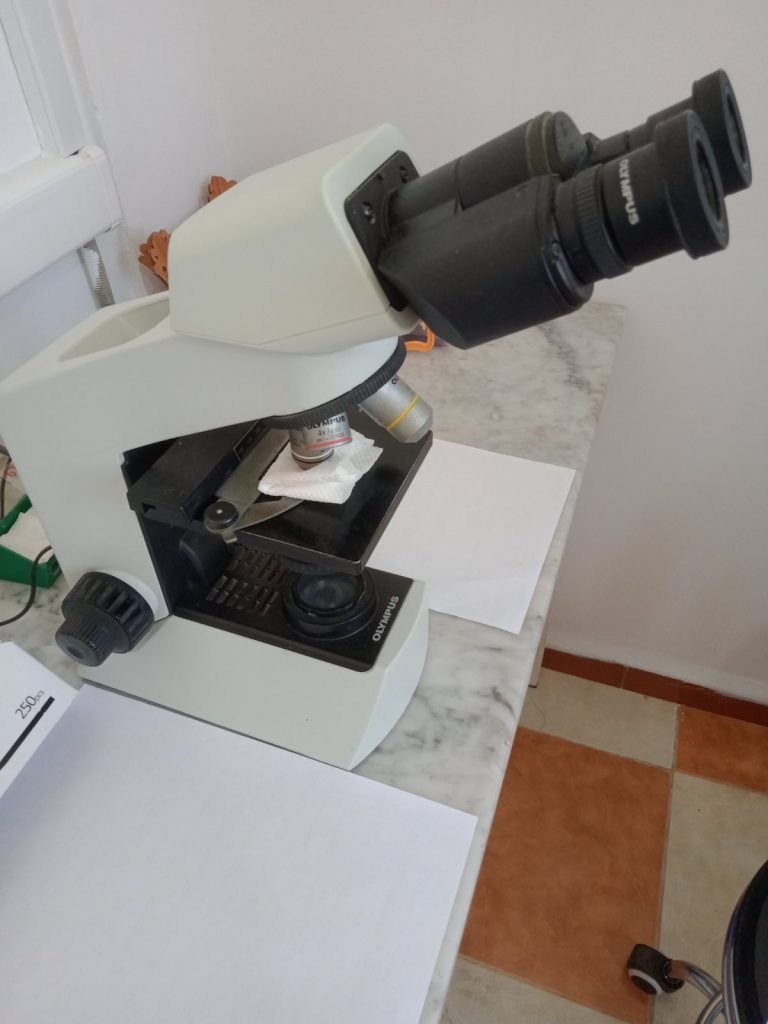 El Ghosli Lab06