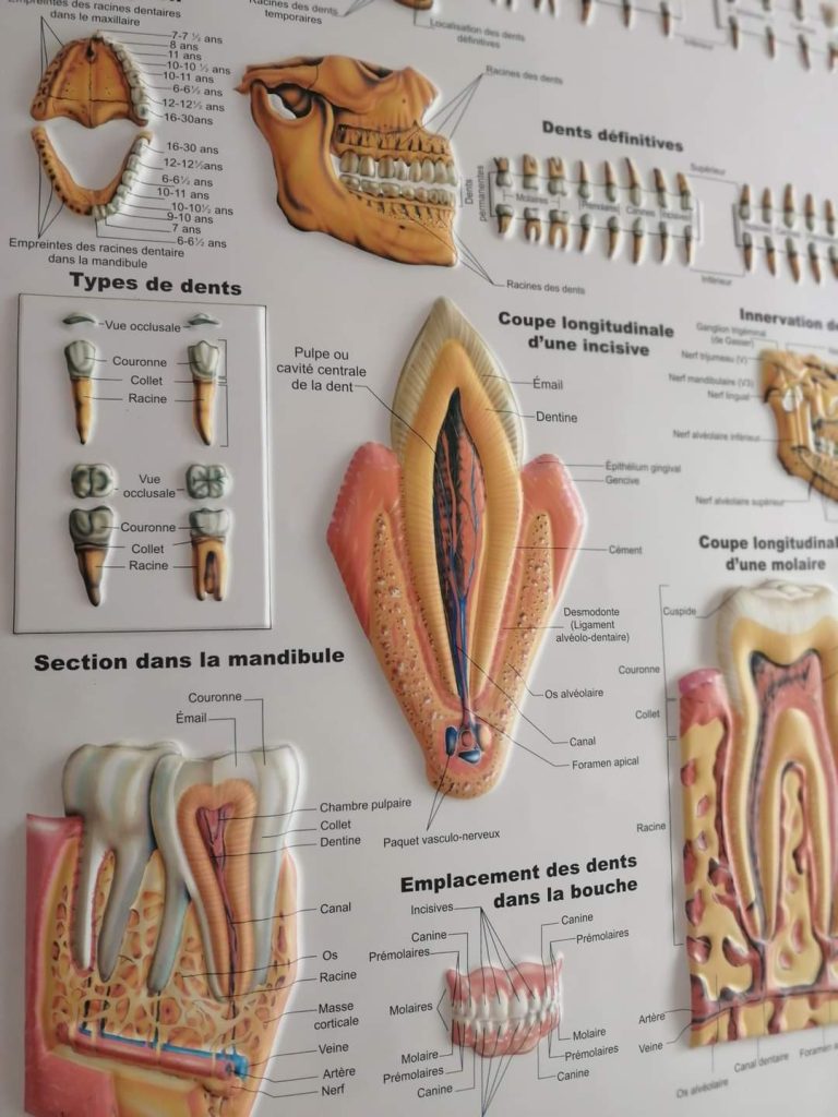 DrChabati05