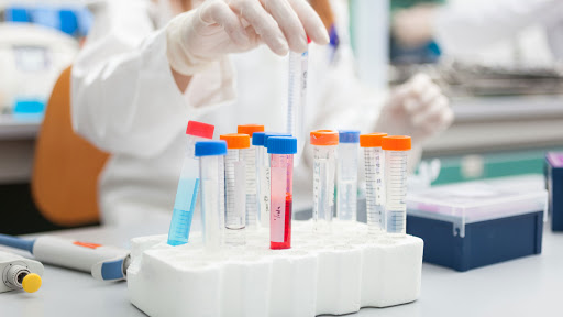 Laboratoire d&rsquo;Analyses Médicales Dr HAMOUCHE