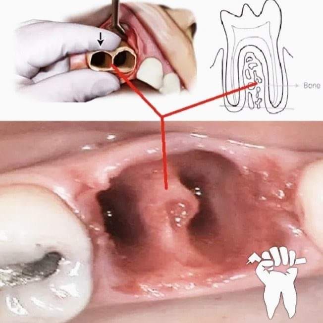 DrAllami08