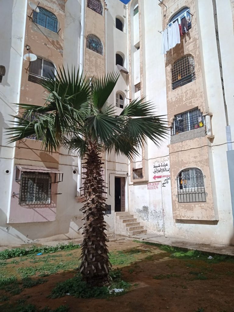 DrGhanemi02