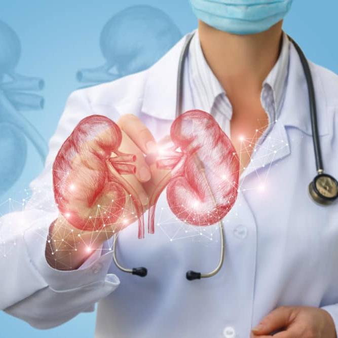 DrMahmoudi urologue ain defla profil