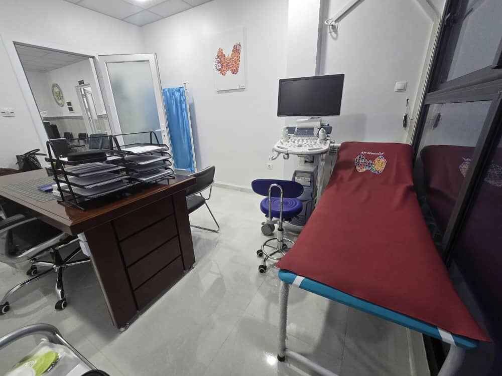 Houalef endocrinologue hamdani gynecologue ain defla 11