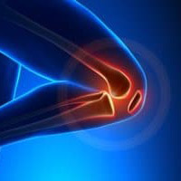 bedjou orthopediste ain defla genou profil