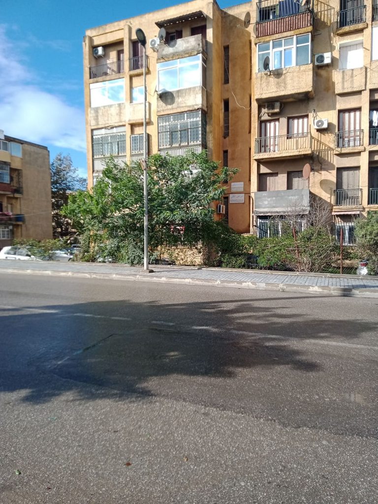 saidi nephrologue bordjelbahri 01