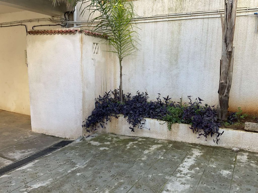 zemiti orl hussein dey alger 11
