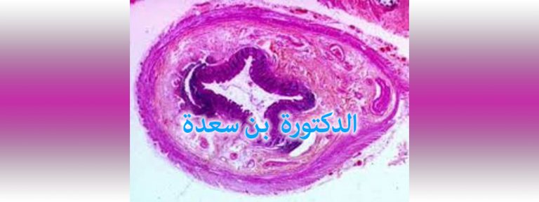 ANAPATH DOCTEUR BENSAADA