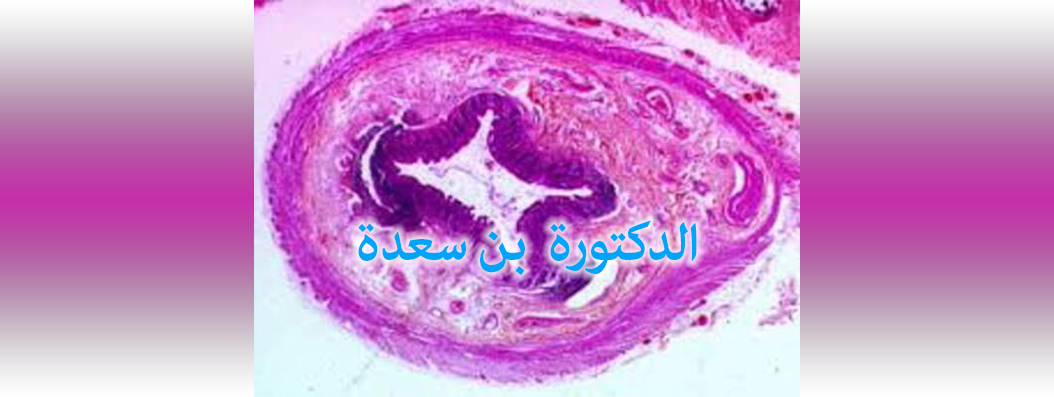 bensaada anapath ain defla cover