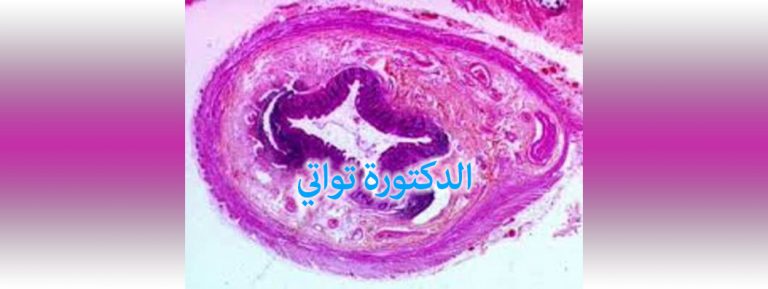 ANAPATH DOCTEUR R. TOUATI