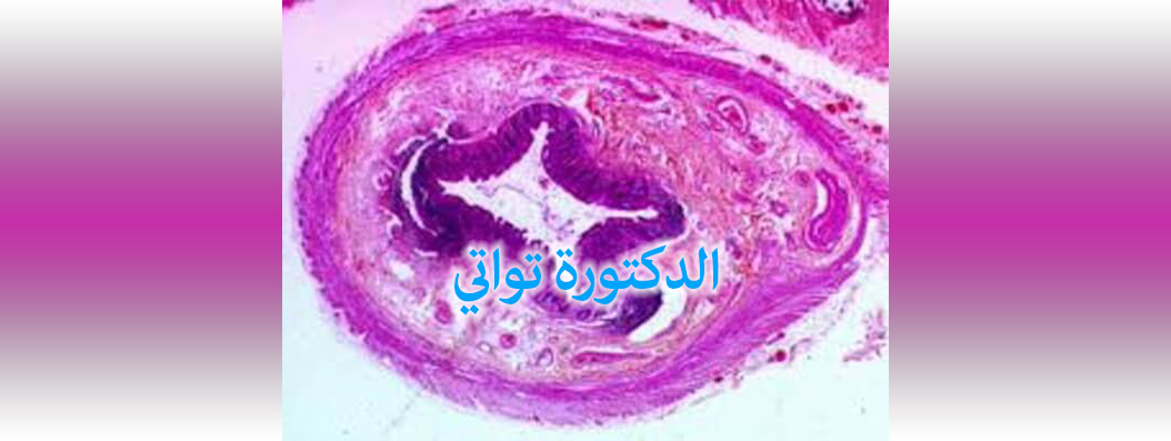 touati anapath ain defla cover