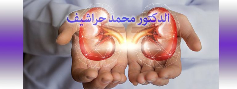 Dr  Mohamed HARACHIF