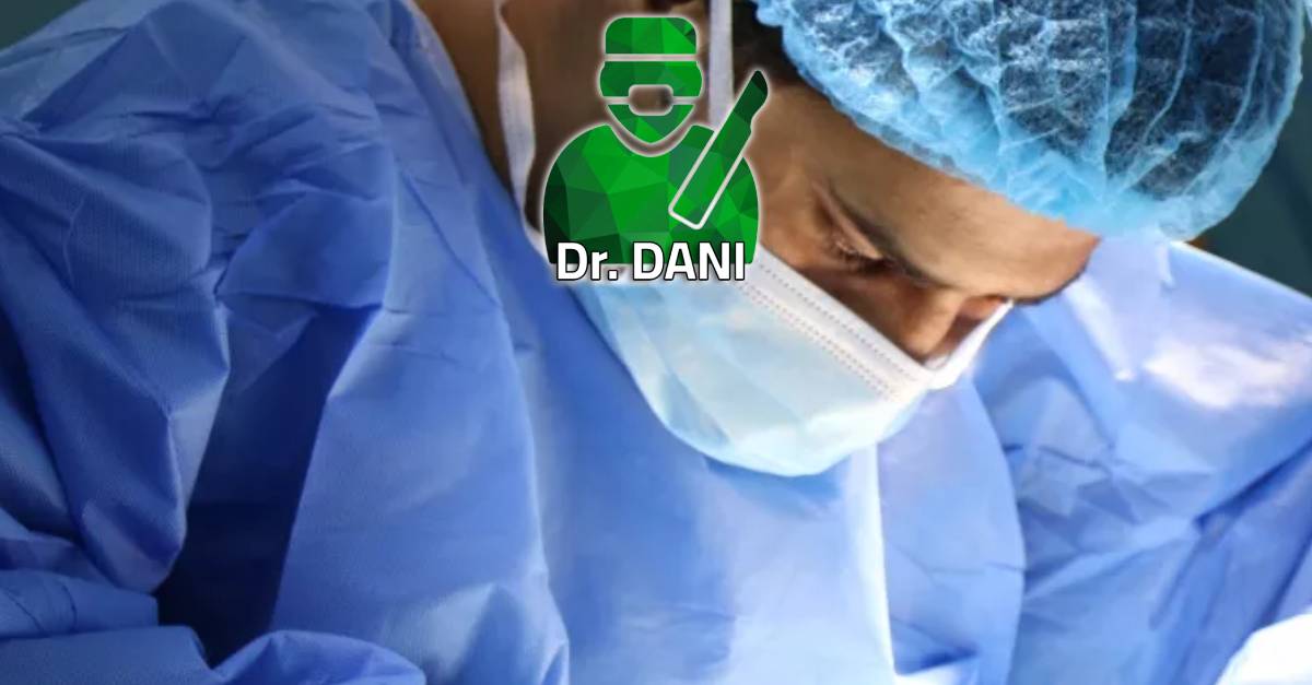 Dani Cover
