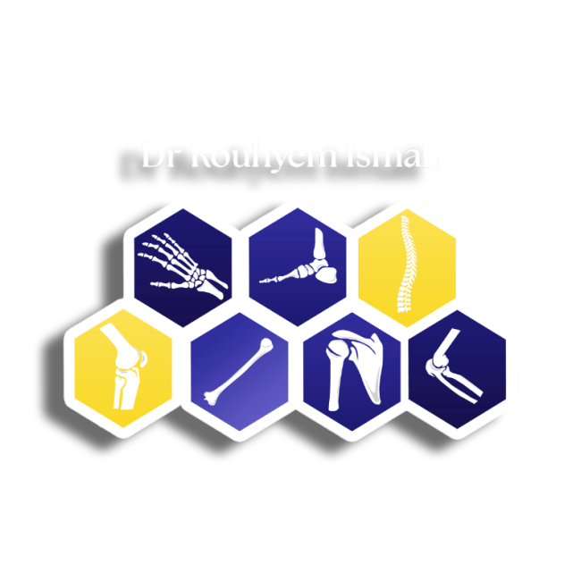 rouhyem logo