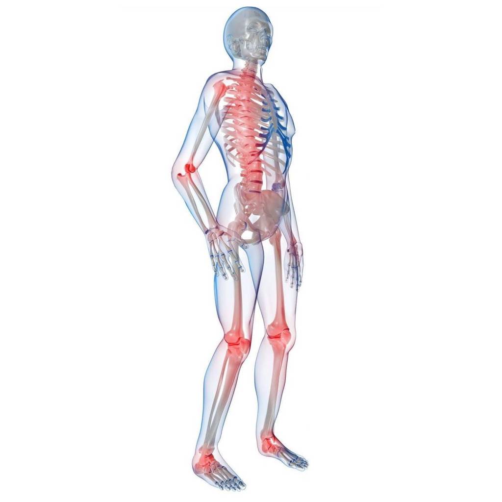 Farsi Medecin physique khemis miliana profil 00