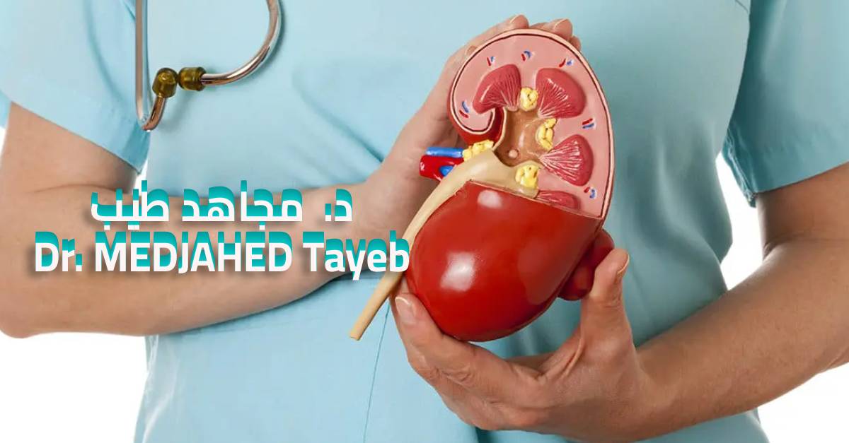 medjahed cover