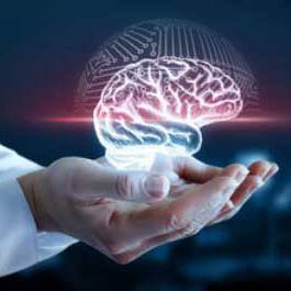 neurologue profil