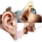 Drorlprofil