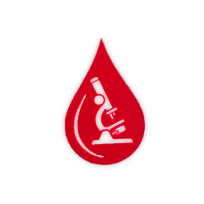 labo salaouatchi profil