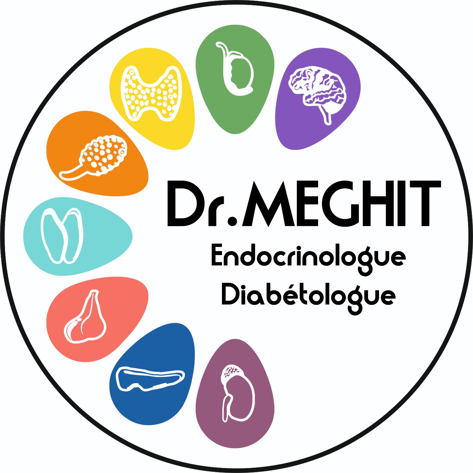 meghit endocrinologue diabetologue chlef 02