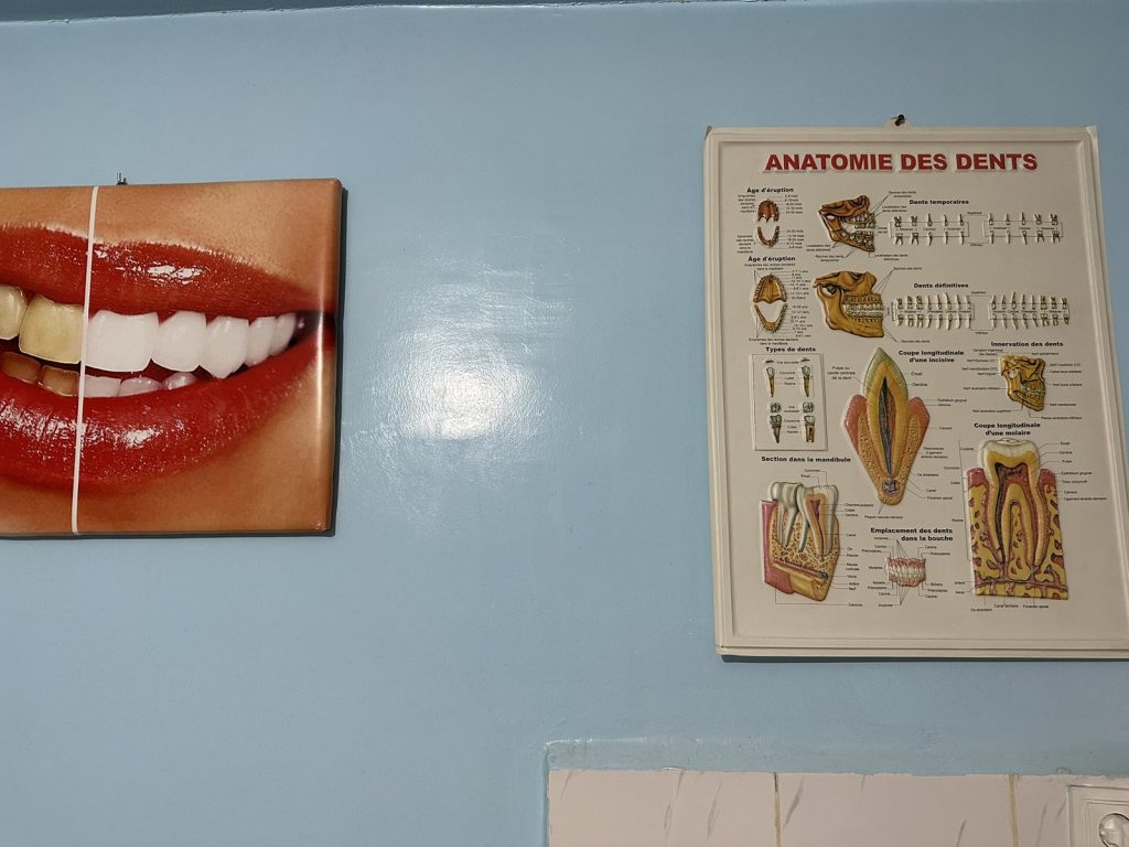 chahrour dentiste chettia chlef 05