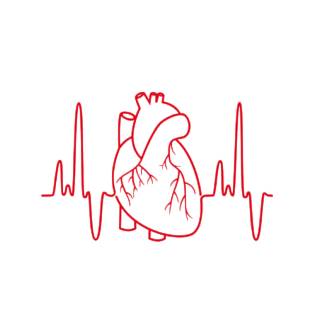 logo cardiologue 00
