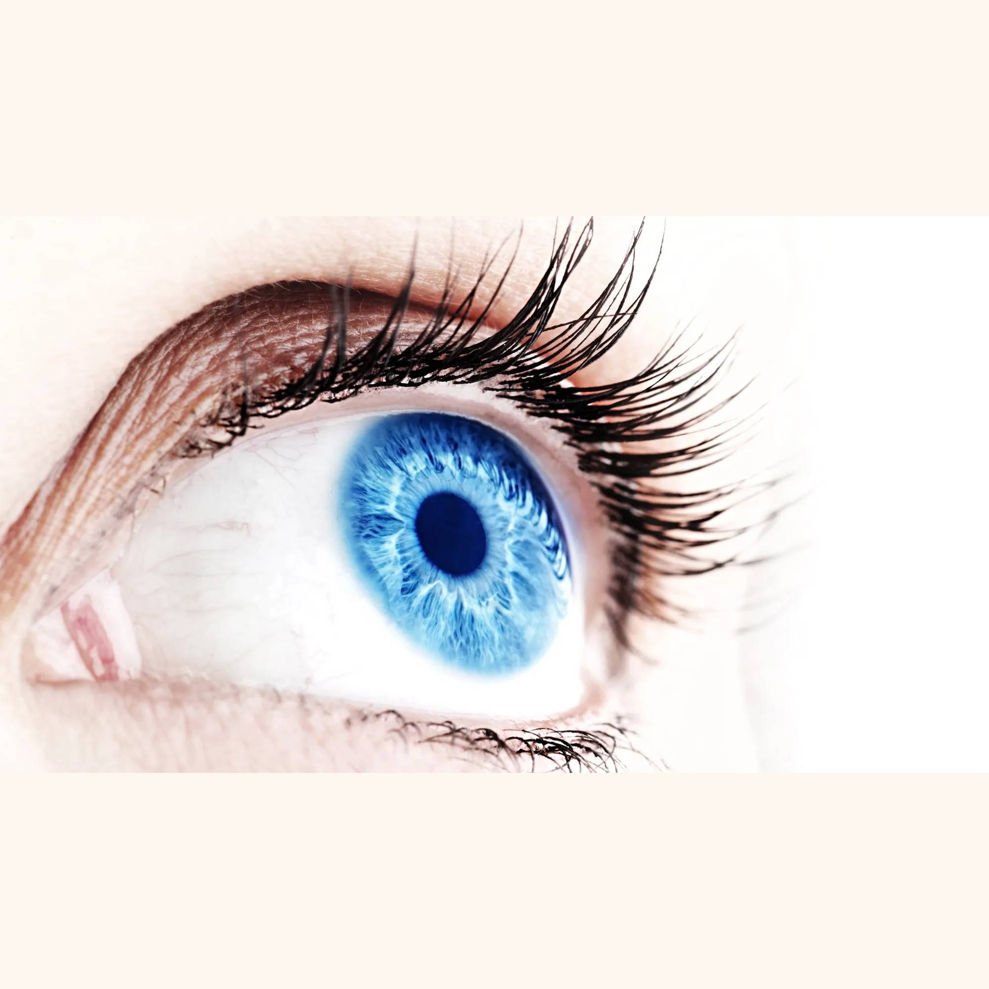 ophtalmo profil