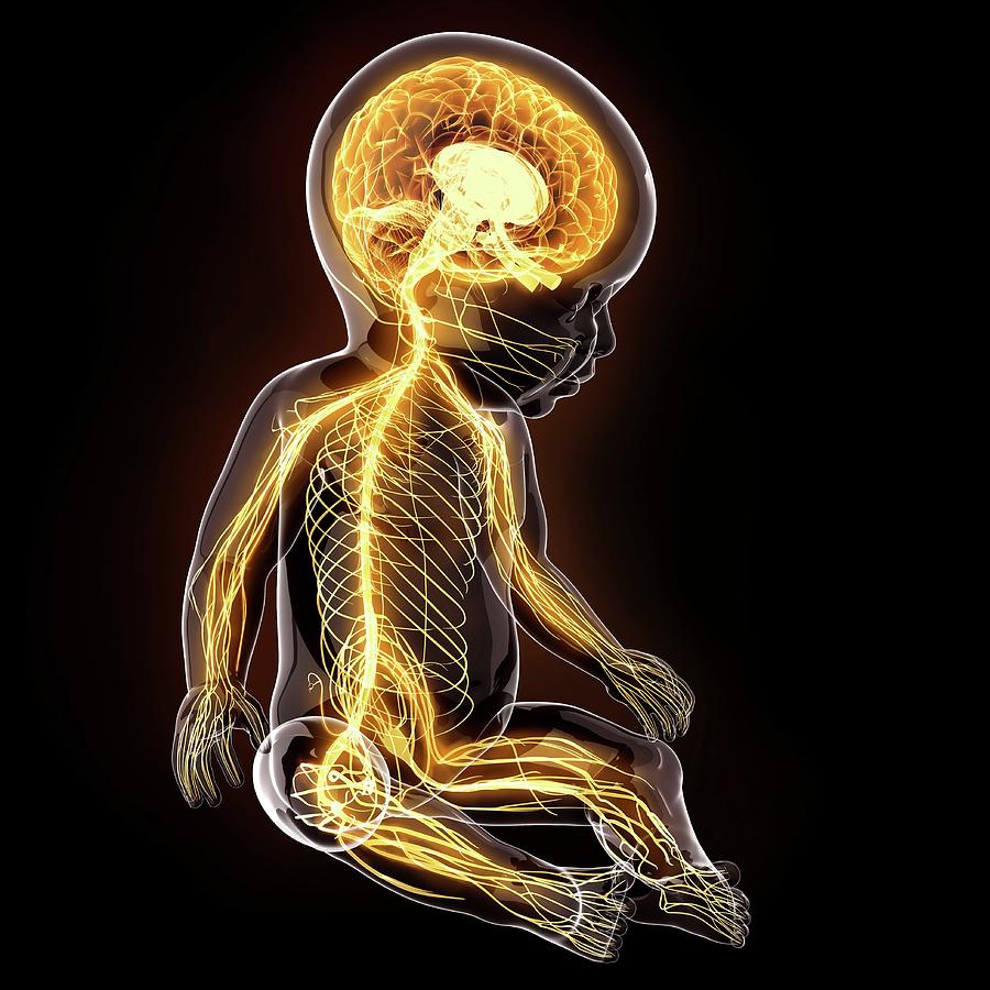 madi pediatre neuro bab ezzouar alger logo00