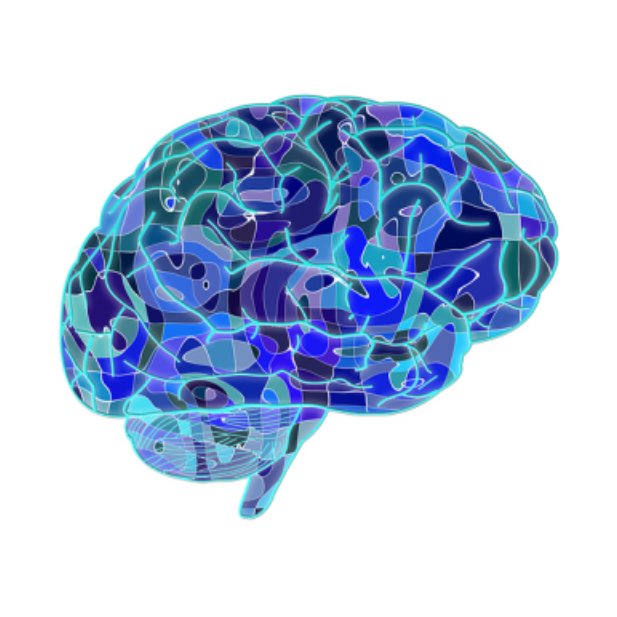 bencherif neuro