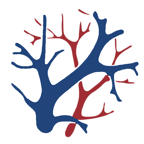 dekkiche vasculaire