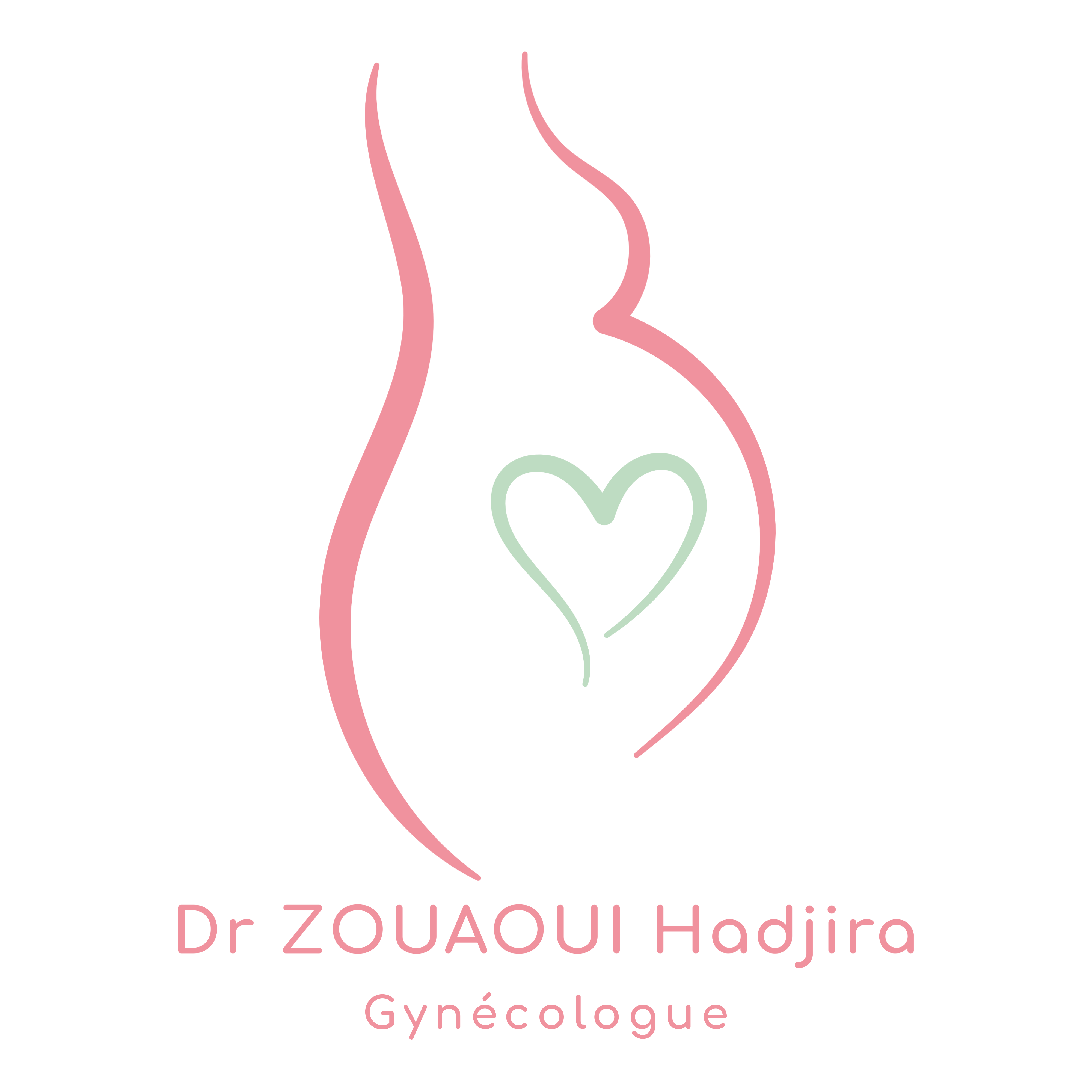 zouaoui logo