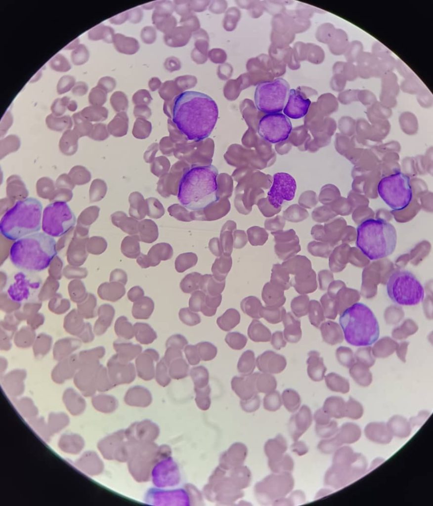al shamel lab tenes 15