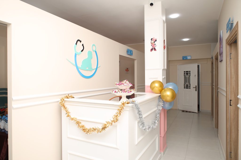 benessalah pediatre chlef 1