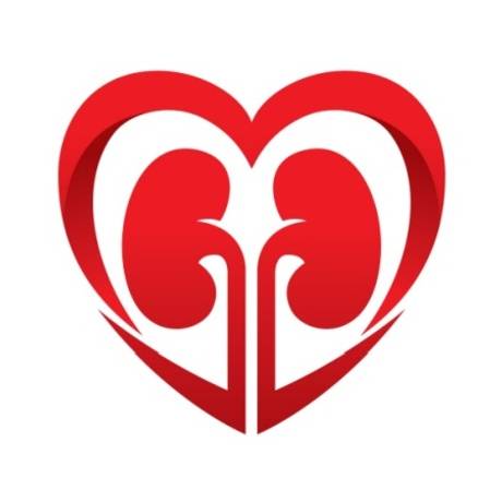 logo heart kidney