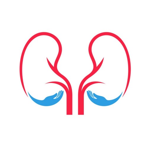 nephro logo 0001