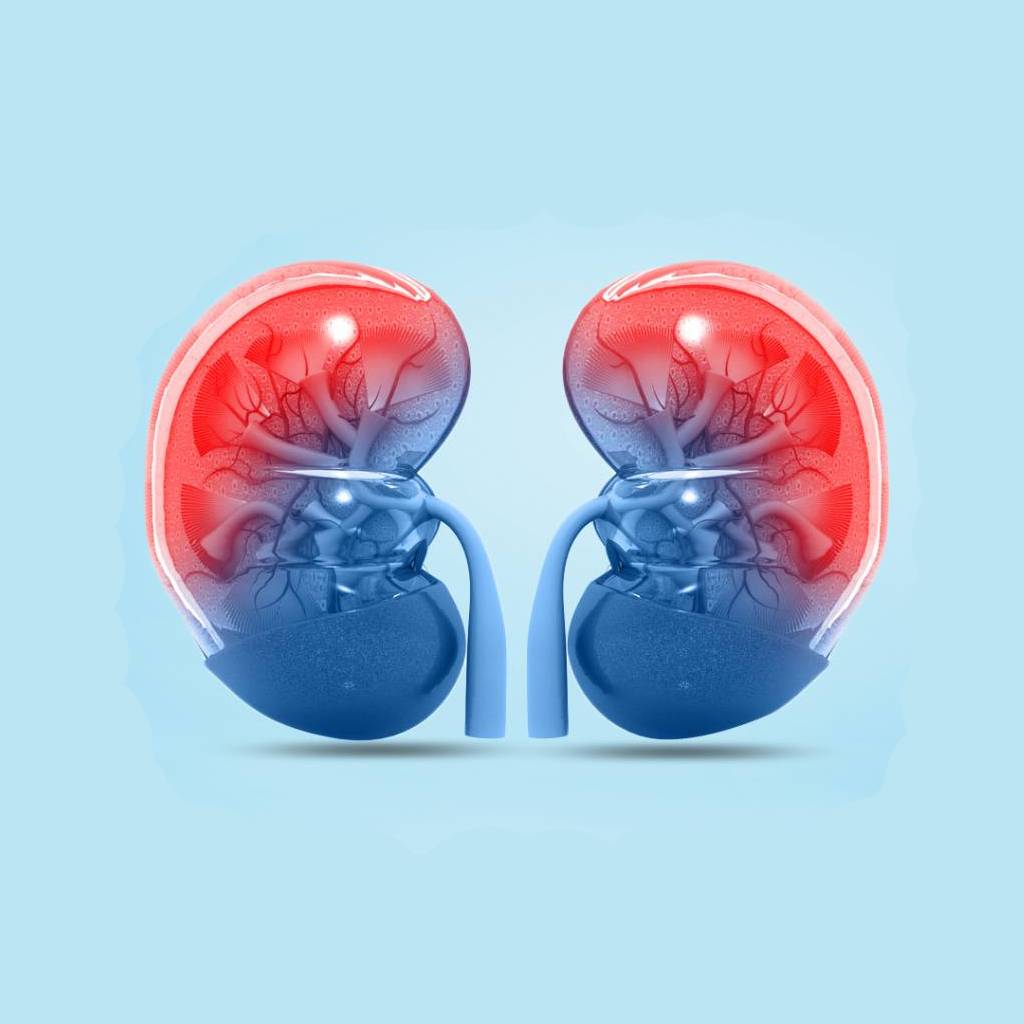 nephrologue logo 00001